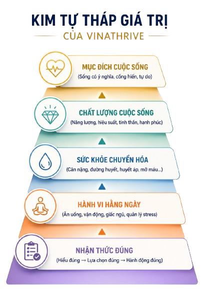 Kim Tự Tháp Giá Trị Vinathrive